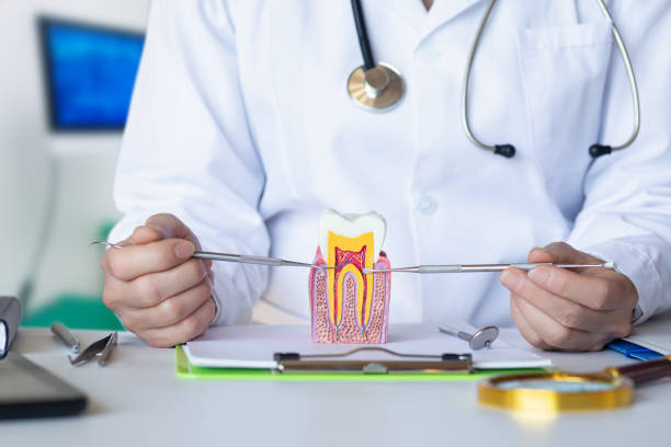 Best Weekend Emergency Dentist in Mcadenville, NC